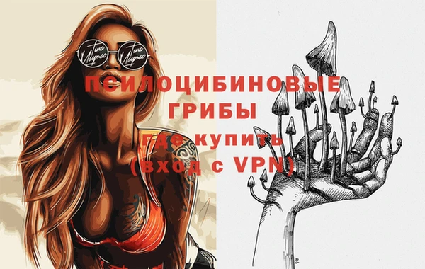 мяу мяу мука Аркадак