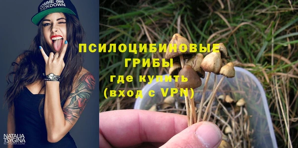 винт Армянск