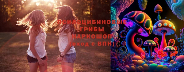 винт Армянск