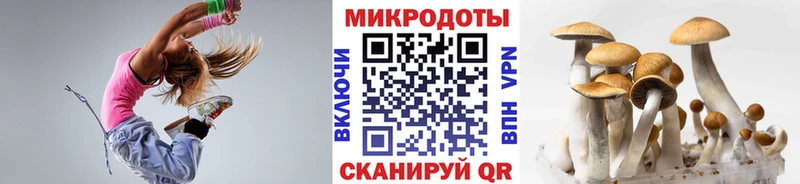 blacksprut ТОР  Таштагол  дарк нет состав  закладки  Псилоцибиновые грибы Psilocybine cubensis 